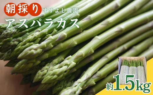 No.1059 【農家直送】鮮度抜群！ アスパラガス 約1.5kg【2026年発送】
