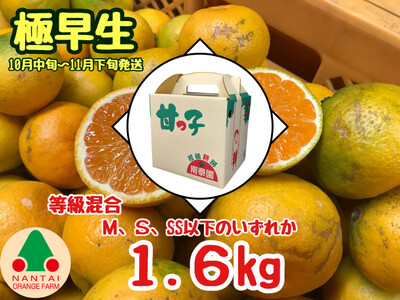 等級混合 極早生 有田みかん M ～ SSサイズ以下 約1.6kg 南泰園 和歌山 有田みかん
