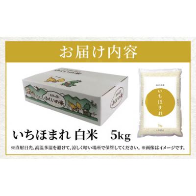 ふるさと納税 大野市 【令和7年産】福井県産 いちほまれ(白米)5kg |  | 03