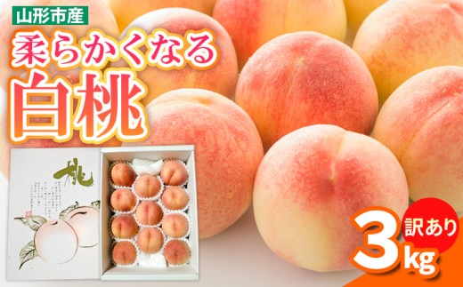 【訳あり】柔らかくなる 白桃 優品 3kg (8個～12個)【令和8年産先行予約】FS25-144