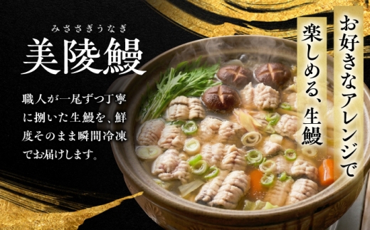 【全6回定期便】 鰻 美陵鰻の生鰻 4尾 / 美陵鰻 鰻 うなぎ ウナギ 蒲焼 蒲焼き かば焼き 白焼き 白焼 肉厚 うな重 うな丼 タレ 山椒 国産 スタミナ 土用 丑の日 土用の丑の日 贈答 ギフ