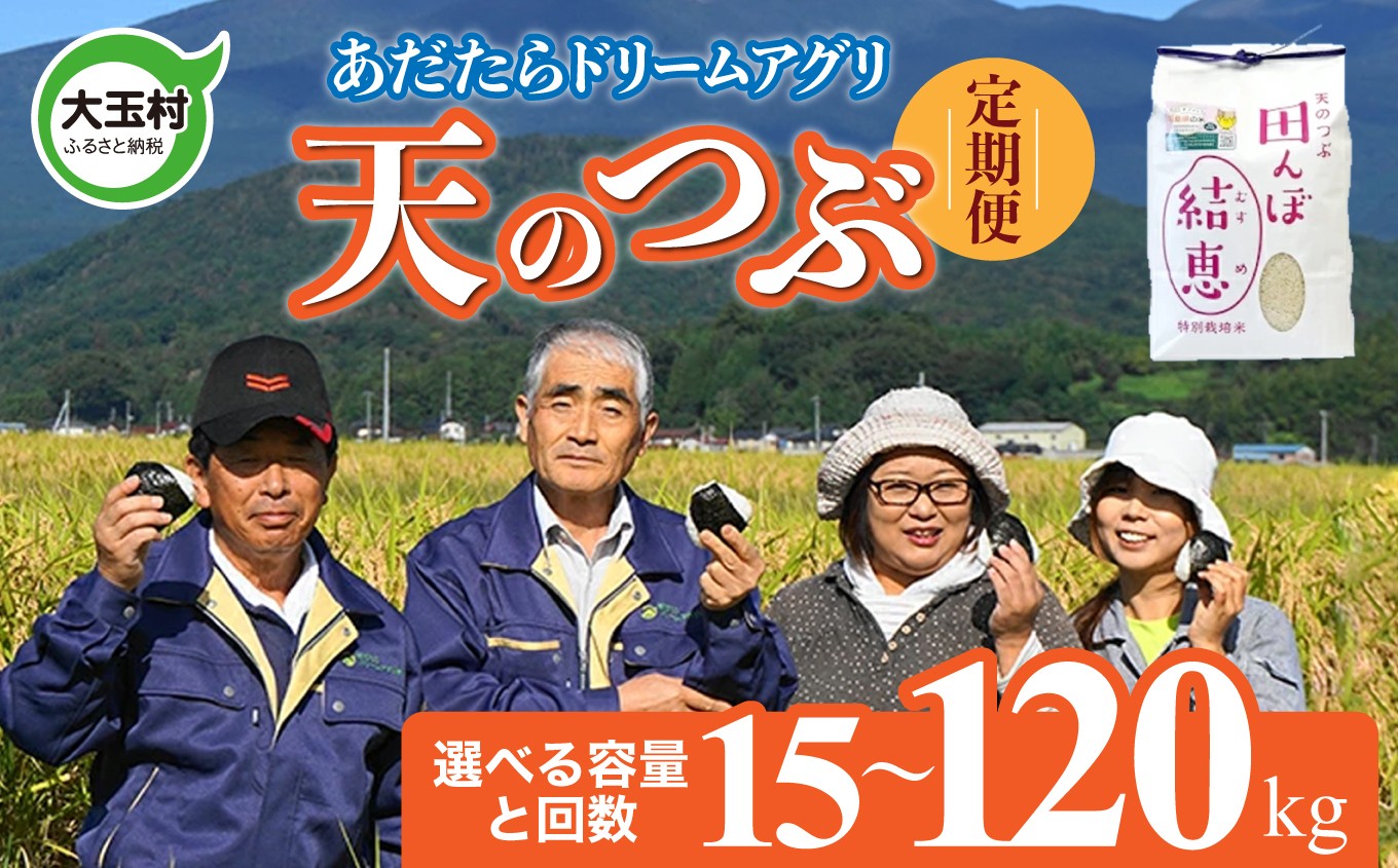 
                  選べる容量(5kg/10kg) 選べる定期便(3回~12回)【 令和7年産 】【 おいしいお米コンクール 受賞米 あだたらドリームアグリ（株）】 天のつぶ 福島県 大玉村 てんのつぶ テンノツブ  定期便
                