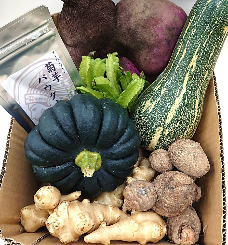 夏・例えばこんなお野菜が入っています