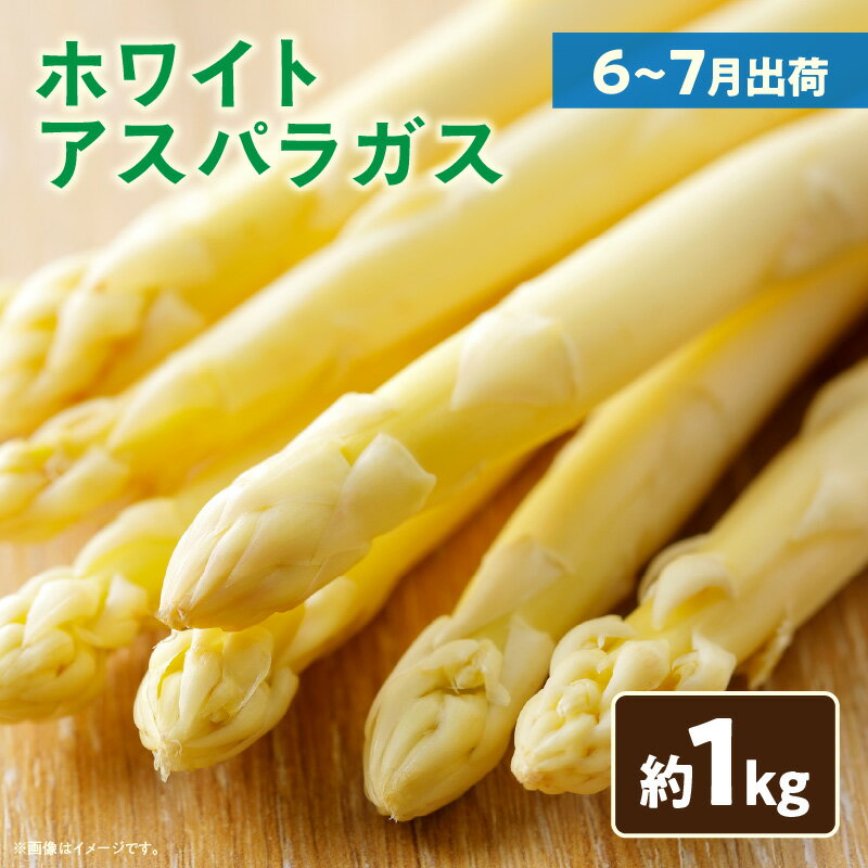 【ふるさと納税】073　ホワイトアスパラガス約1kg（6～7月出荷） アスパラ アスパラガス ホワイトアスパラガス 新鮮 素材の味 夏野菜 直送 香川県 三木町