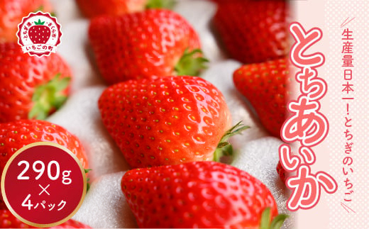【先行予約】いちご とちあいかセット 270g×4パック（1.08kg以上） ※2026年1月上旬～4月中旬頃に順次発送予定