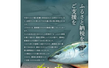 海鮮「ブリの漬け丼の素」1食80g×5P＋「マグロの漬け丼の素」1食80g×5P《迷子のブリを食べて応援 養殖生産業者応援プロジェクト》応援 順次出荷中 惣菜 冷凍 保存食 小分け 高知 海鮮丼 一人