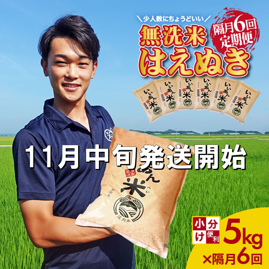 SF0209　11月中旬発送開始／【隔月6回定期便】無洗米はえぬき　5kg×6回(計30kg) 農家直送『いいあん米』 AG