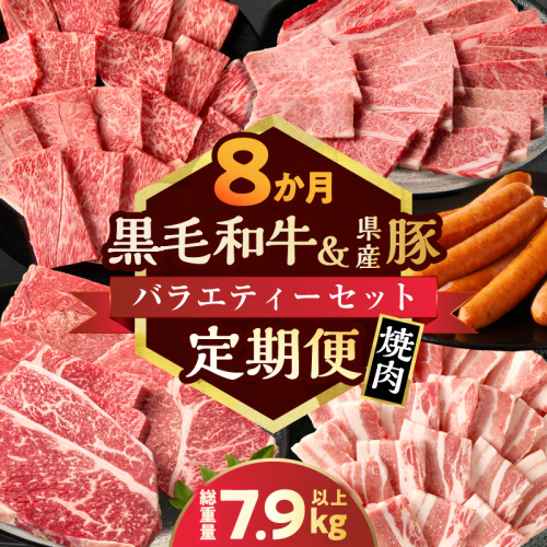 【10月末で受付終了!!】≪8か月定期便≫黒毛和牛＆県産豚バラエティーセット(焼肉)総重量7.9kg以上 肉 牛 牛肉 国産_T030-1803
