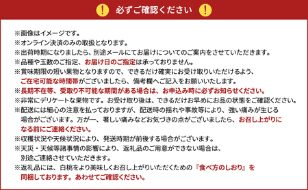 桃 2026年 先行予約 岡山県産 清水白桃 贈答用1.5kg(4～6玉) 朝採れ 農家直送 限定20箱