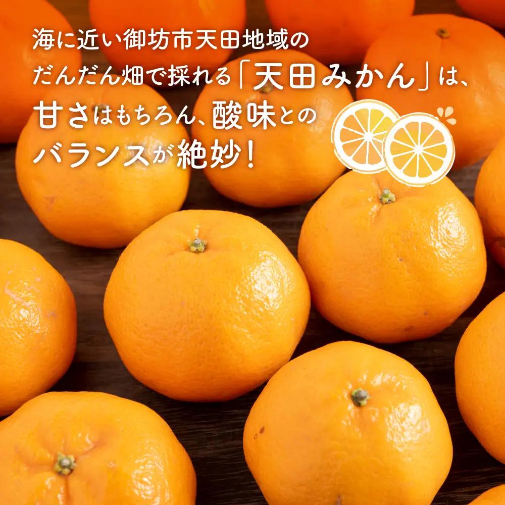 【1169-2】和歌山の農園直送北村農園の天田みかん7.5kg（家庭用）