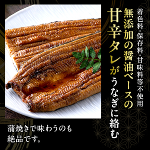 うなぎ 国産 白焼き 金賞 長白焼 2尾 浜名湖産 素焼き うなぎ