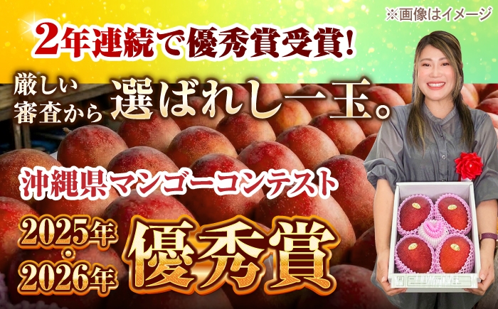 マンゴー まんごー 芒果 Mango mango フルーツ ふるーつ Fruit 果物 果実 くだもの 完熟 トロピカルフルーツ