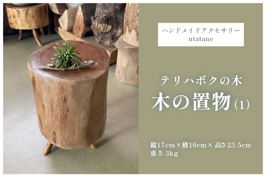 
            DM015『テリハボクの木の置物』（1）
          