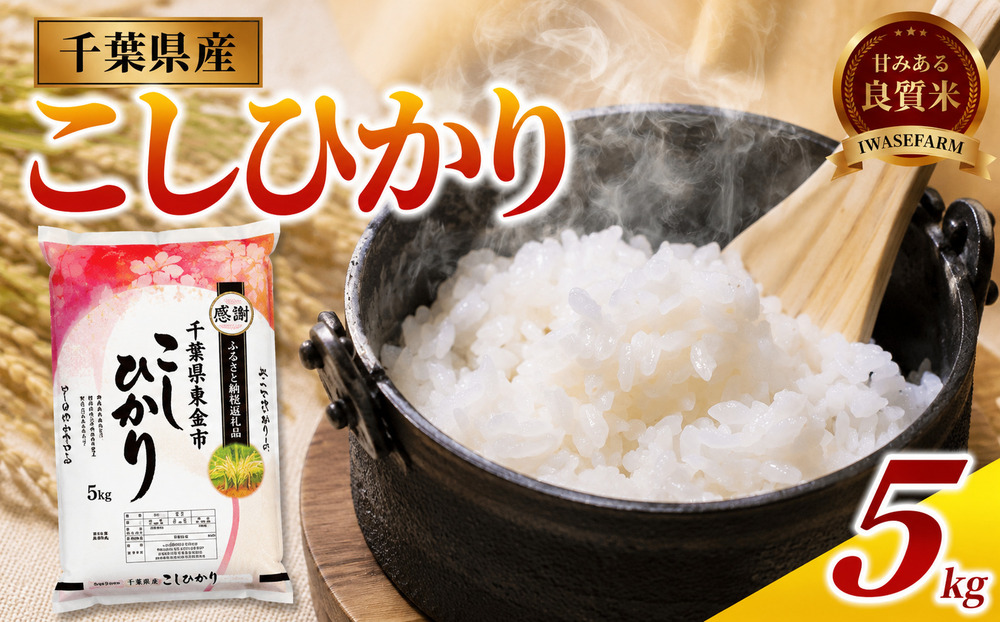 【コシヒカリ 5kg】 米 お米 こめ コメ こしひかり 【令和7年度産】 【千葉県産】 kome okome 精米 白米 ご飯 ごはん 米 ごはん 備蓄米 国産 炊飯 ※ ブランド米 甘い ツヤ ギフト 贈答 甘み 粘り 香り リピート kosihikari