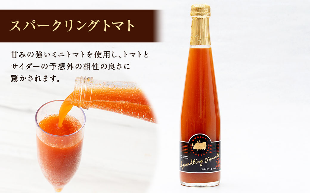 北海道サイダー 5本セット