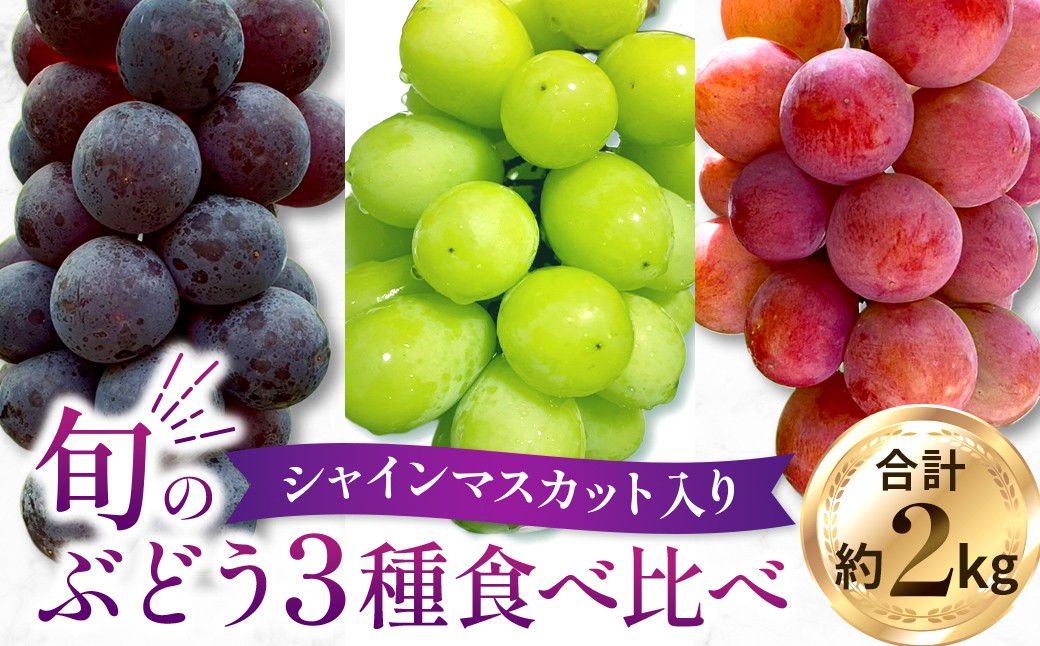 
            【2026年発送 先行予約】旬のぶどう３種食べ比べ アソート 計2kg程度（ シャインマスカット オーロラブラック・ピオーネ クイーンニーナ ） ぶどう ブドウ シャインマスカット シャイン マスカット フルーツ 果物 ぶどう食べ比べ 宮崎県小林市
          