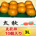 【ふるさと納税】[先行予約] 令和7年産 高橋柿ファームの太秋柿 3Lサイズ 10個入り《10月上旬より発送予定》[0999]｜かき 太秋 フルーツ カキ 果物 くだもの 産地直送 岐阜県 本巣市 15000円