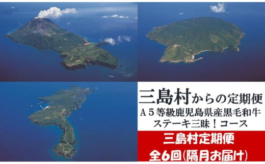 【定期便】A５等級鹿児島県産黒毛和牛ステーキ三昧！（年６回お届け）