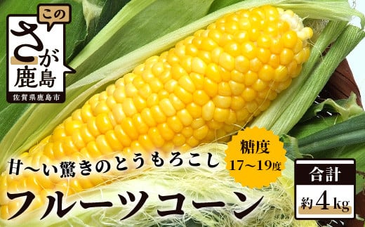 
B-124 驚く甘さ！フルーツコーン　約４ｋｇ
