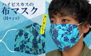 【ふるさと納税】暑い夏にも！ハイビスカスの布マスク（Mサイズ）