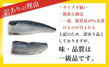 訳あり 塩 サバ フィーレ 3.5kg さば 鯖 切り身 宮城県 石巻市