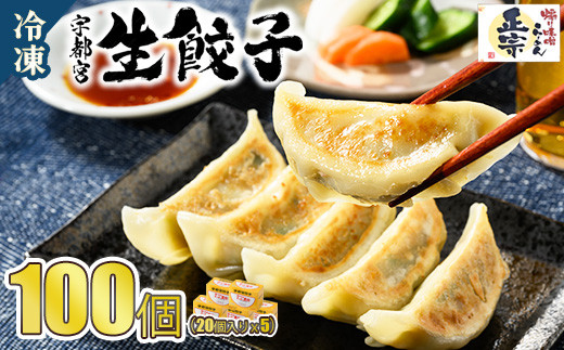 
            餃子20個入り×5箱（100個） | ふるさと納税 餃子 冷凍 ギョウザ 冷凍食品 惣菜 お取り寄せ グルメ 送料無料 宇都宮 栃木県
          
