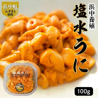 ≪先行受付開始!!≫無添加「浜中町養殖塩水うに(計100g)」_H0038-002