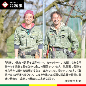 【2026年産】真の果実 贈答用 白桃2kg 松栗提供 山形県 東根市 hi062-055　（山形県 東根市 東北 果物 フルーツ くだもの もも 桃 白桃 ピーチ 品種おまかせ 箱入り 化粧箱 期間