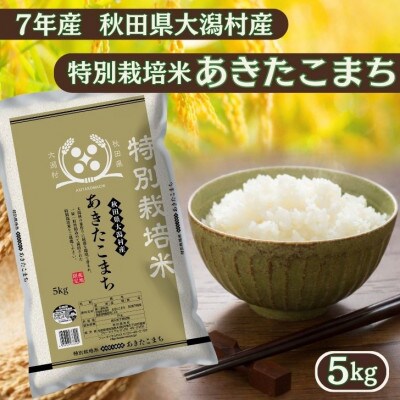 【令和7年産】特別栽培米 あきたこまち 5kg 精米◆秋田県大潟村【配送不可地域：離島・沖縄県】