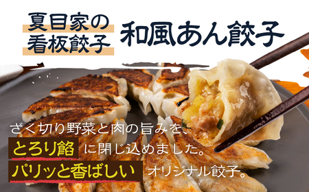 夏目家の餃子 和風あん餃子16個入＋おまけ　和風あん餃子 夏目家 餃子 訳あり セット 定期便 惣菜 ぎょうざ 愛知県 豊橋市