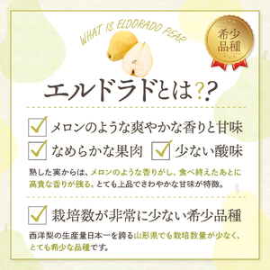 【令和7年産 先行予約】西洋梨エルドラド5kg　秀品　化粧箱入り 山形県 東根市 東根農産センター提供 hi027-197-1 エルドラド 洋梨 洋ナシ フルーツ 果物 くだもの 化粧箱 産地直送 期