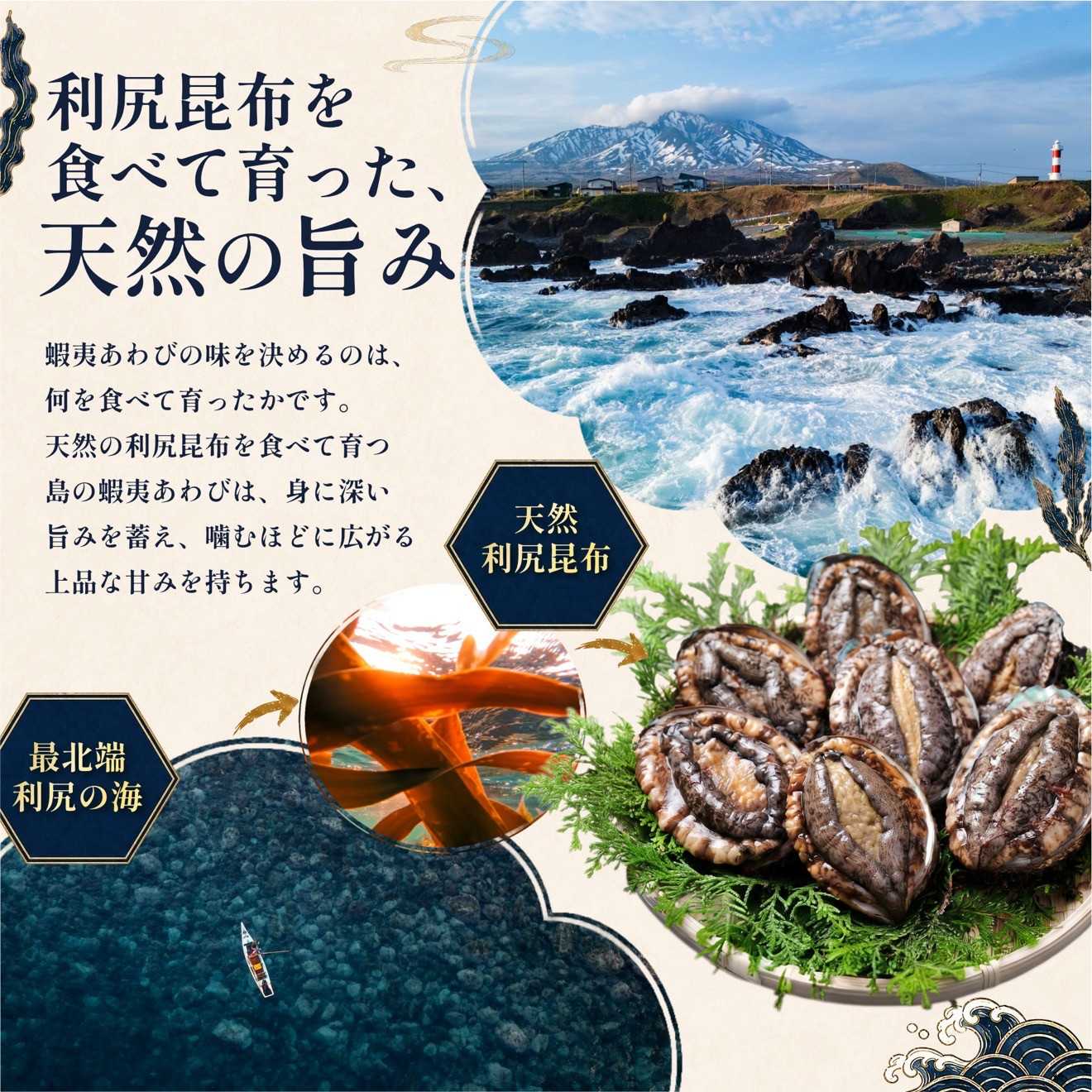 【2026年発送受付】活アワビ500g（5～7個） 天然蝦夷アワビ北海道利尻島産【10月下旬～12月下旬発送】