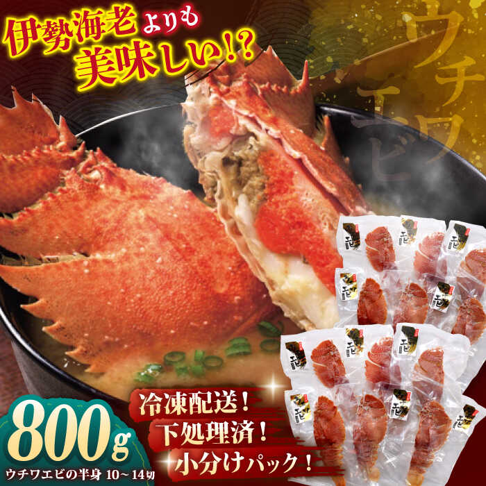 【ふるさと納税】【朝から贅沢なお味噌汁を】 平戸 ウチワエビの半身セット 約800g(10～14切) 平戸市 / ひばり [KAA062] エビ 海老 うちわえび 新鮮 希少 人気