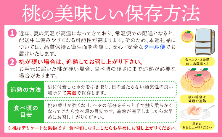 和歌山県産の桃 約3.8kg (10~18玉) GREEN JUNCTION株式会社《2025年6月中旬-2025年8月末頃出荷》和歌山県 紀の川市 桃 果物 果実 フルーツ 自然栽培 送料無料---