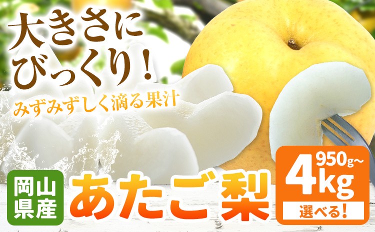 
                  岡山県産 あたご梨 選べる 大玉2玉（950g以上）約3kg（3-5玉） 約4kg（3-6玉） 有限会社ホーティカルチャー神島《2026年11月中旬-12月中旬頃出荷》岡山県 浅口市 なし 梨 果物 【配送不可地域あり】
                