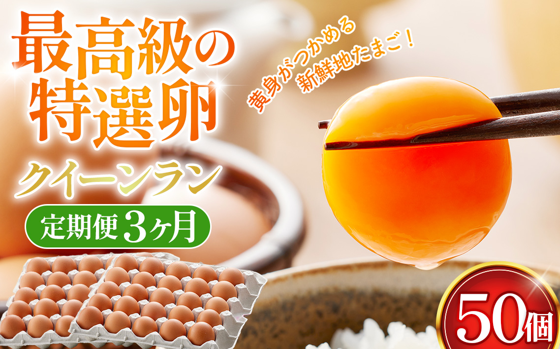 黄身がつかめる新鮮地たまごクイーンラン 赤玉50個入《定期便3ヶ月》