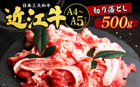 近江牛 切り落とし 500ｇ O-I15 西川精肉店 東近江 ( 大人気近江牛焼肉 人気近江牛焼肉 大人気和牛近江牛焼肉 人気和牛近江牛焼肉 大人気黒毛和牛近江牛焼肉 人気黒毛和牛近江牛焼肉 大人気牛肉近江牛焼肉 人気牛肉近江牛焼肉 黒毛和牛近江牛焼肉 冷凍和牛近江牛焼肉 ブランド和牛近江牛焼肉 和牛近江牛焼肉 牛肉近江牛焼肉 ブランド和牛 近江牛 和牛 牛肉 )