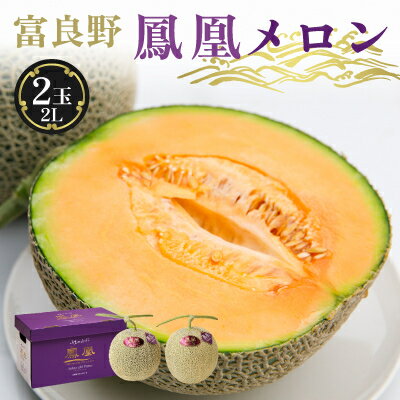 【ふるさと納税】糖度15度 富良野鳳凰メロン(赤肉)　2玉　各1.8～2kg(2Lサイズ)_ メロン めろん 富良野メロン 富良野めろん 北海道 富良野市 果物 フルーツ くだもの ふるーつ 青果 果実 甘い 旬 専門店 希少 品種 ギフト 贈答 鳳凰 糖度 定番 プレゼント 【1403669】