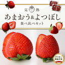 【ふるさと納税】イチゴ あまおう よつぼし 食べ比べ セット 完熟 期間限定 各 250g 2パック 計4パック 計 1kg 特別栽培 エコ農産物 安心 安全 大粒 冷蔵 ゆりかーご 贈り物 フルーツ 果物 スイーツ スムージー ジャム パン 国産 お取り寄せ 福岡県 久留米市 送料無料