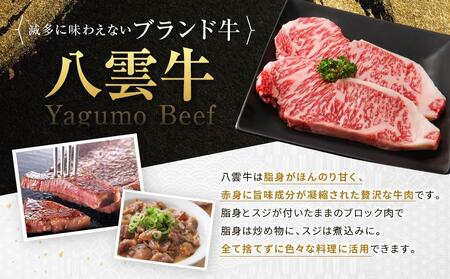 八雲牛 サーロインブロック 500g 【 牛肉 牛 肉 サーロイン 食品 グルメ お取り寄せ お取り寄せグルメ  八雲町 北海道   】