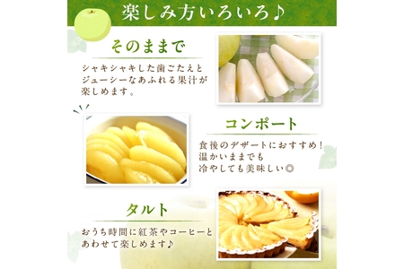 【先行予約／数量限定150】20世紀梨 5kg（2026年9月上旬～発送）