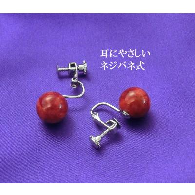 ふるさと納税 和泉市 珊瑚のイヤリング(10ミリ玉) |  | 01