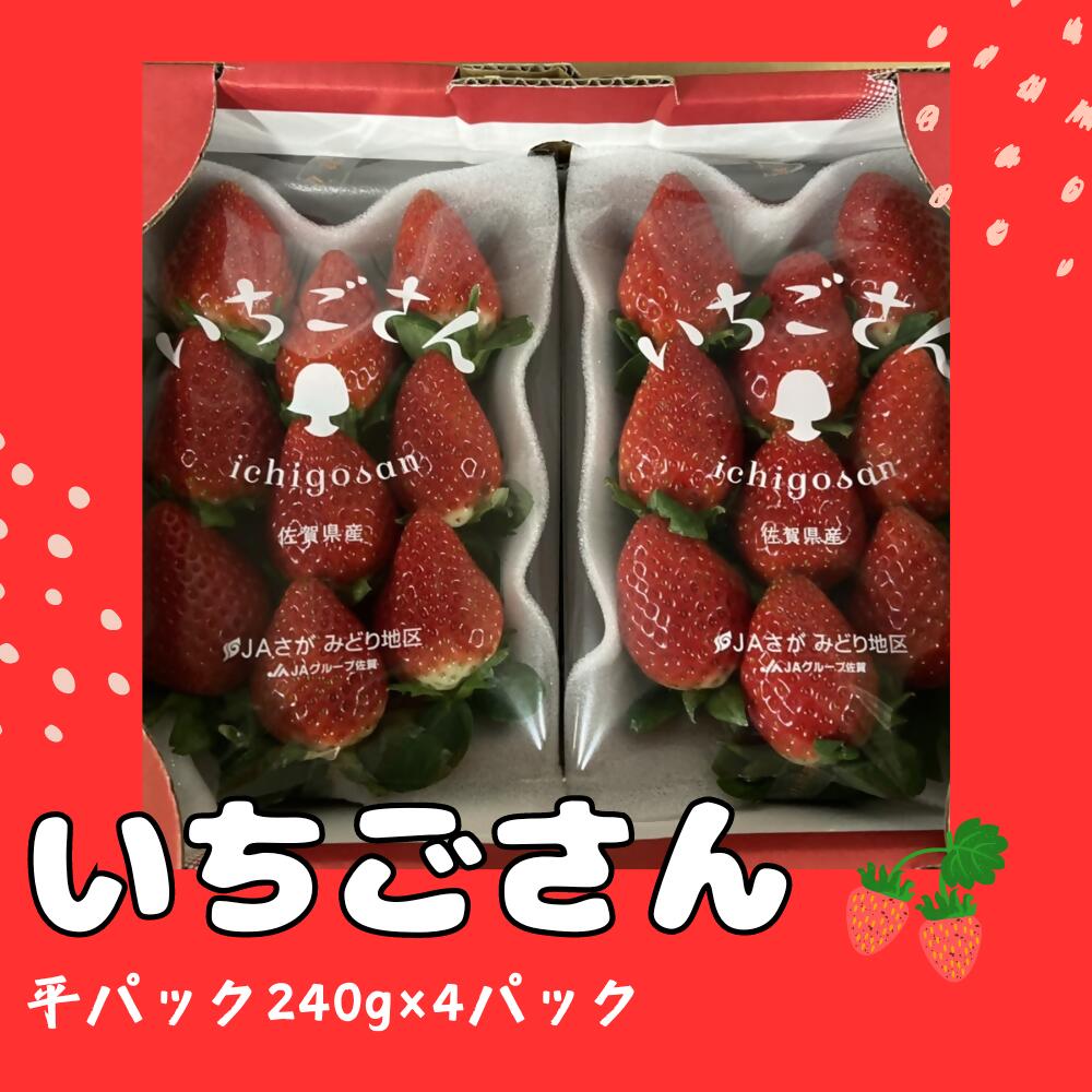 【ふるさと納税】N-205 いちごさん　平パック　240g×4パック 苺 いちご フルーツ 果物