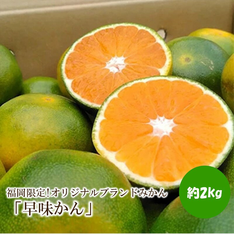 【ふるさと納税】福岡限定!オリジナルブランドみかん「早味かん」約2kg【011-0098】