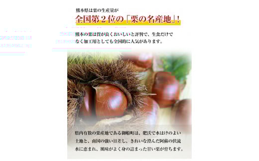 生栗 熊本県御船町産限定 約2kg(2L-Lサイズ) 期間限定 野菜 予約 スイーツ きんとん 甘露煮 渋皮煮《9月上旬-9月下旬頃出荷》---mifune_lcl_200_2---