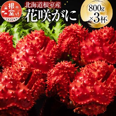 ふるさと納税 根室市 【北海道根室産】花咲かに800g×3尾(計2.4kg) D-20012