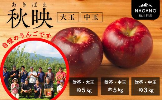 
                  りんご 秋映 約3kg ～ 約5kg（大玉 or 中玉）贈答 / 2026年10月上旬頃～配送予定 ｜ 長野県 松川町産 ギフト 贈答 リンゴ 林檎 あきばえ 農家直送 農家支援 産地直送 KR25 KR09 KR08
                