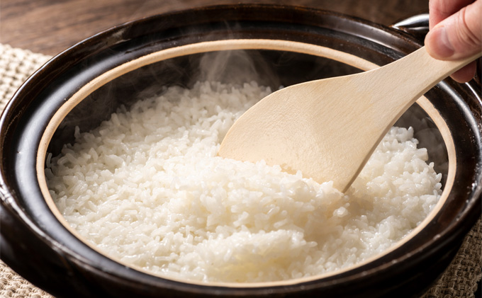 北海道 イエスクリーン米 令和7年産 ななつぼし 10kg 精米 米 白米 お米 ごはん ご飯 ライス 道産米 ブランド米 新しのつ米 ふっくら 食味ランキング 産地直送 カワサキ森田屋 送料無料