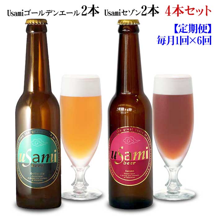 W06【ふるさと納税】【定期便 全6回】Usamiビール2種×2本(4本セット) 毎月1回×6回