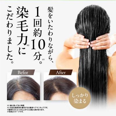ふるさと納税 糸島市 [白髪用]利尻カラークリーム 株式会社ピュール ヘアカラー 白髪染め [AZA062] |  | 03